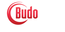 budovideosjapan logo