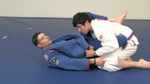 BJJ スイープ by フラビオ・アルメイダ (DVD)