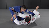 Spider Guard Langhi Technique 3 3