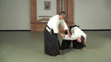 Aikido to BJJ DVD with Derek Nakagawa & Marcio Feitosa 3